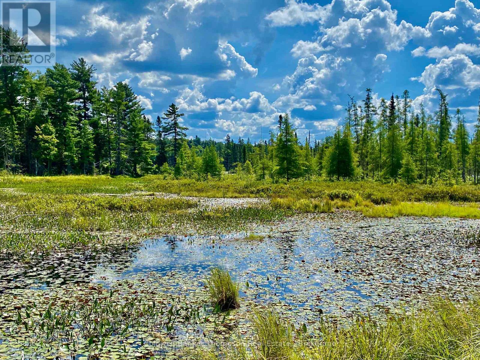 0 Conc. Rd 10 And 11 Concession N, Parry Sound Remote Area, Ontario  P0H 1A0 - Photo 10 - X12261970