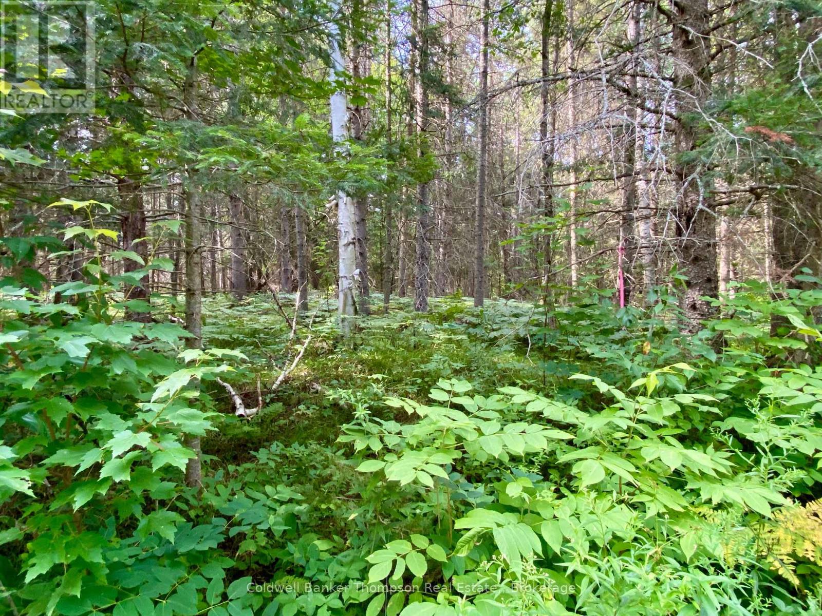 0 Conc. Rd 10 And 11 Concession N, Parry Sound Remote Area, Ontario  P0H 1A0 - Photo 13 - X12261970