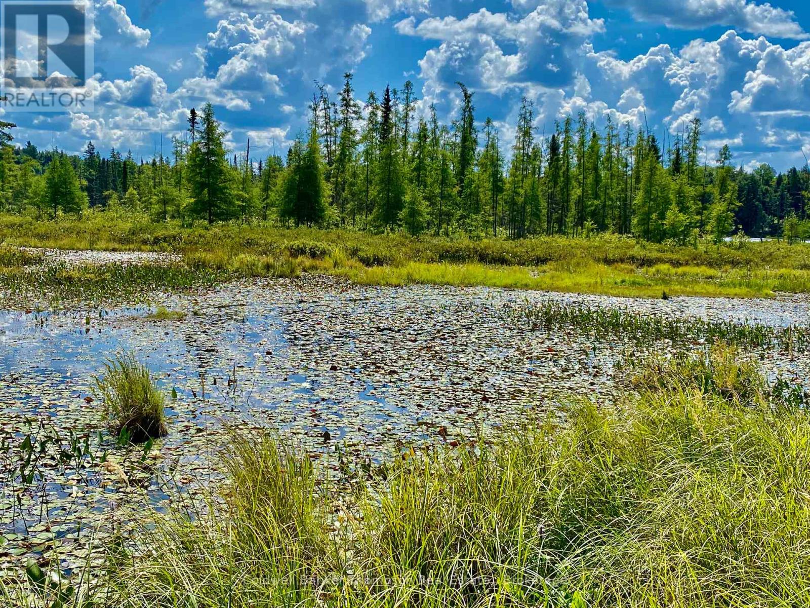 0 Conc. Rd 10 And 11 Concession N, Parry Sound Remote Area, Ontario  P0H 1A0 - Photo 9 - X12261970
