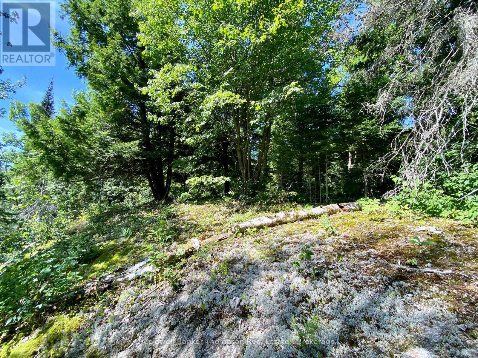 0 Conc. Rd 10 And 11 Concession N, Parry Sound Remote Area, Ontario  P0H 1A0 - Photo 7 - X12261970