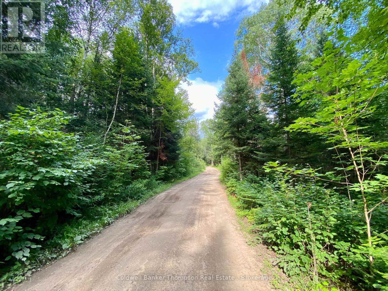 0 Conc. Rd 10 And 11 Concession N, Parry Sound Remote Area, Ontario  P0H 1A0 - Photo 15 - X12261970