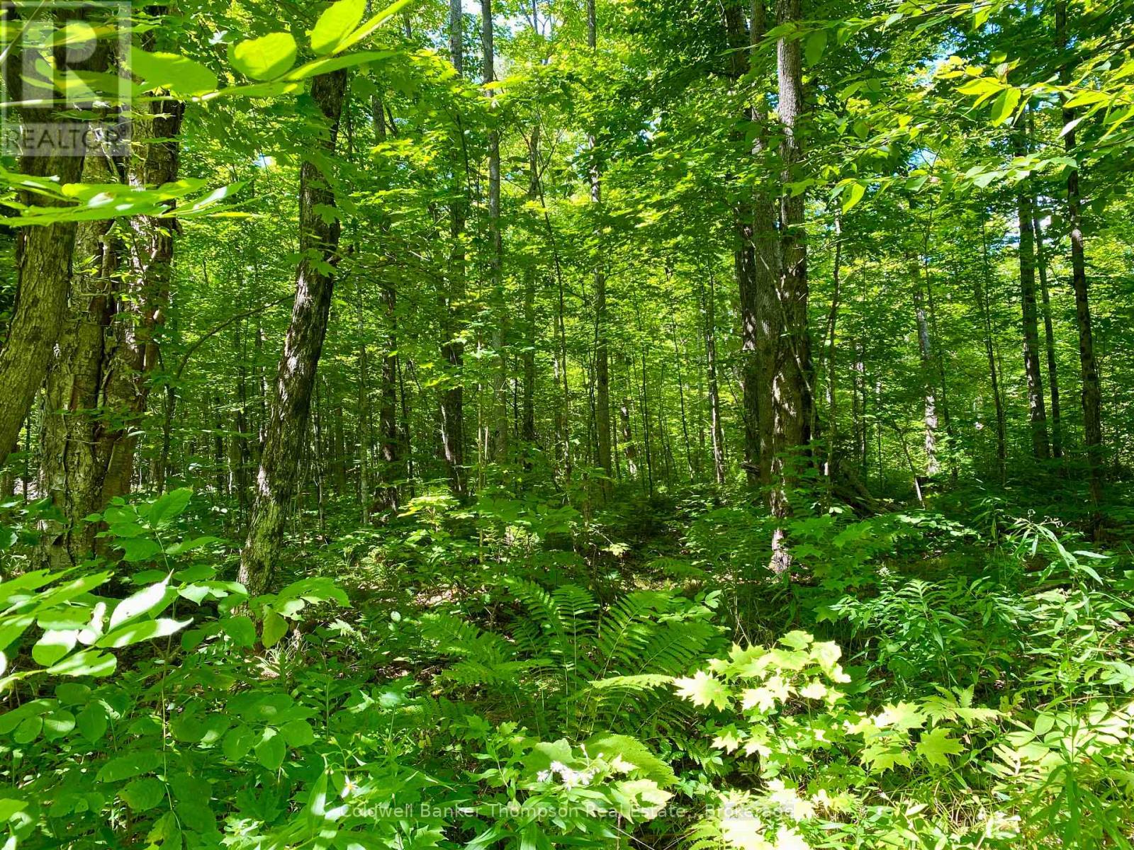 0 Conc. Rd 10 And 11 Concession N, Parry Sound Remote Area, Ontario  P0H 1A0 - Photo 19 - X12261970