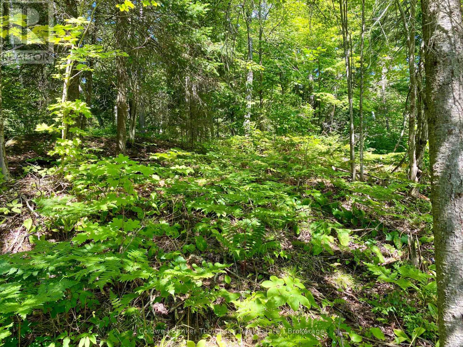 0 Conc. Rd 10 And 11 Concession N, Parry Sound Remote Area, Ontario  P0H 1A0 - Photo 22 - X12261970