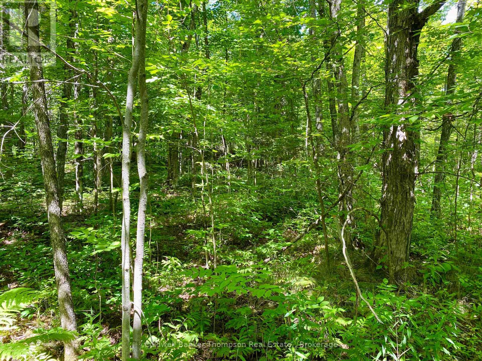 0 Conc. Rd 10 And 11 Concession N, Parry Sound Remote Area, Ontario  P0H 1A0 - Photo 21 - X12261970