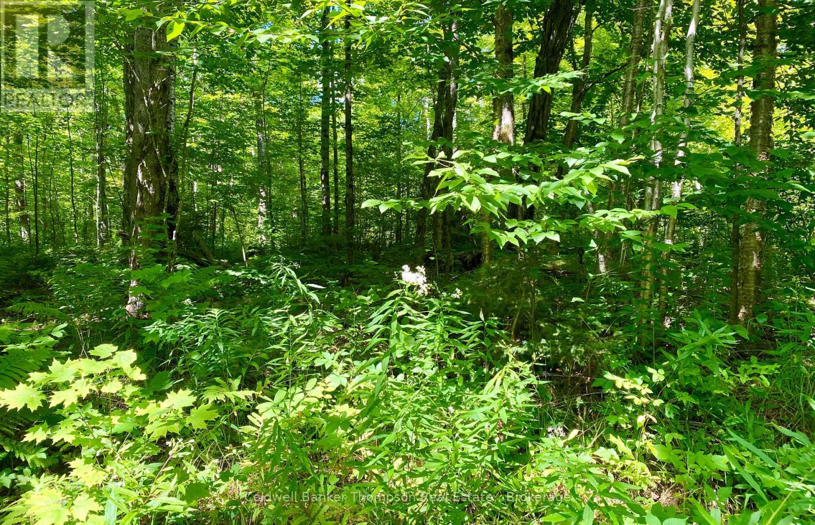 0 Conc. Rd 10 And 11 Concession N, Parry Sound Remote Area, Ontario  P0H 1A0 - Photo 18 - X12261970