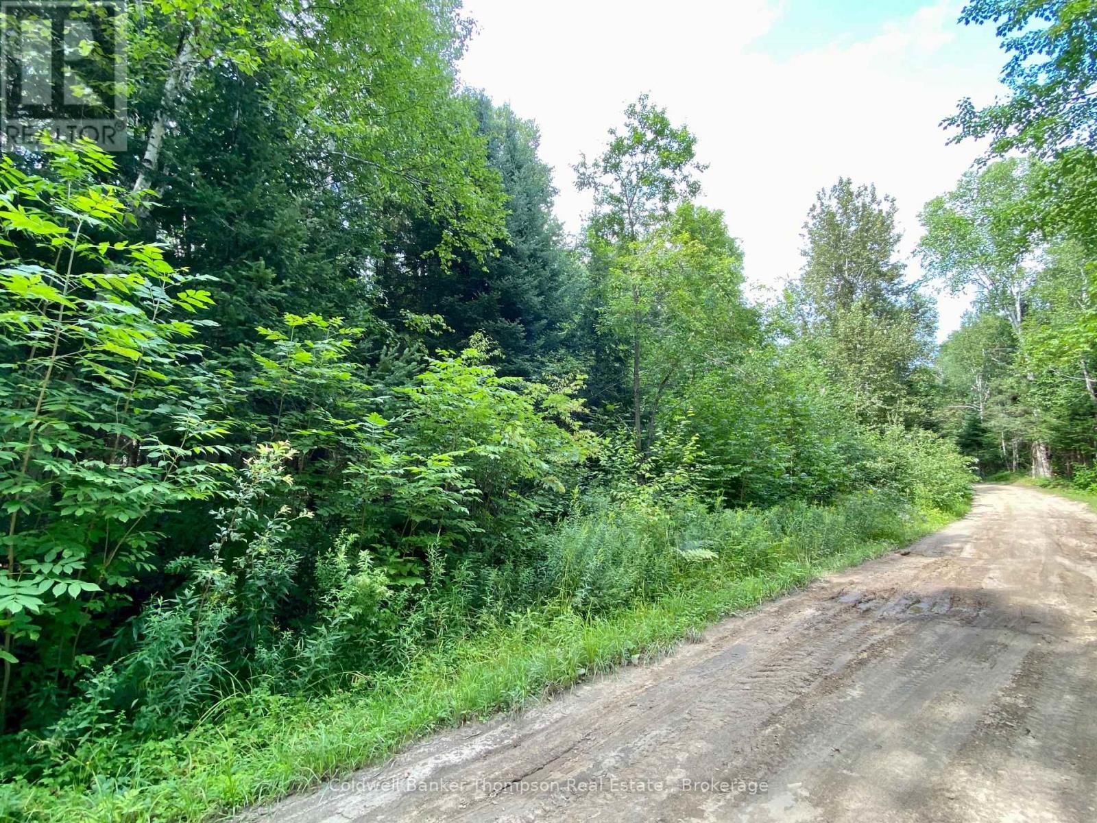 0 Conc. Rd 10 And 11 Concession N, Parry Sound Remote Area, Ontario  P0H 1A0 - Photo 16 - X12261970