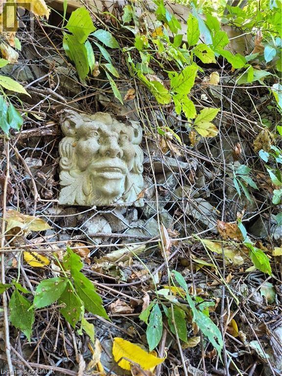 210 Charlton Avenue E, Hamilton, Ontario  L8N 1Z1 - Photo 36 - 40784669