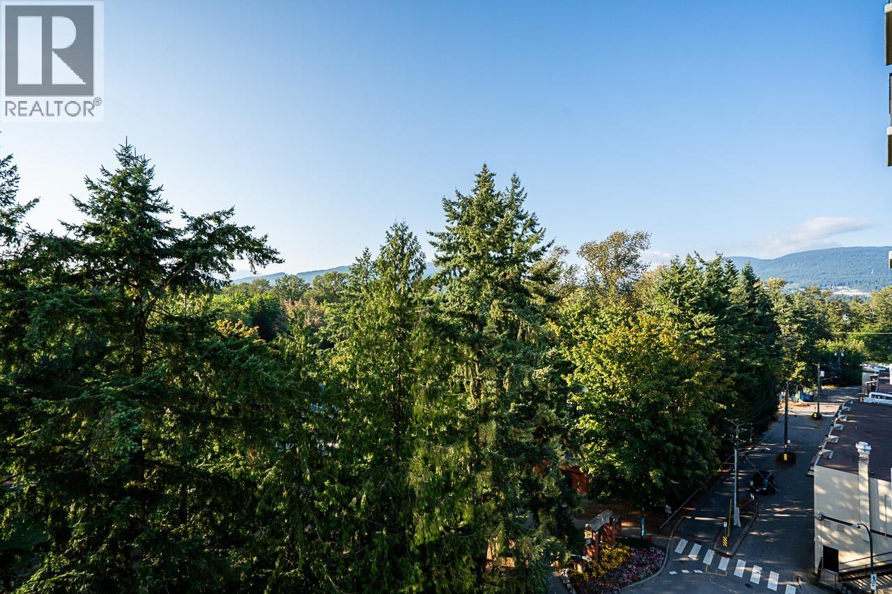 902 2789 Shaughnessy Street, Port Coquitlam, British Columbia  V3C 0C3 - Photo 35 - R3045436