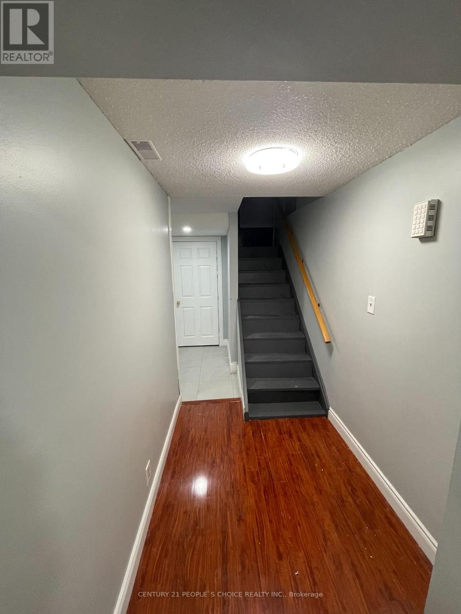 Lower Level - 340 Bristol Road W, Mississauga, Ontario  L5R 2J7 - Photo 2 - W12659560