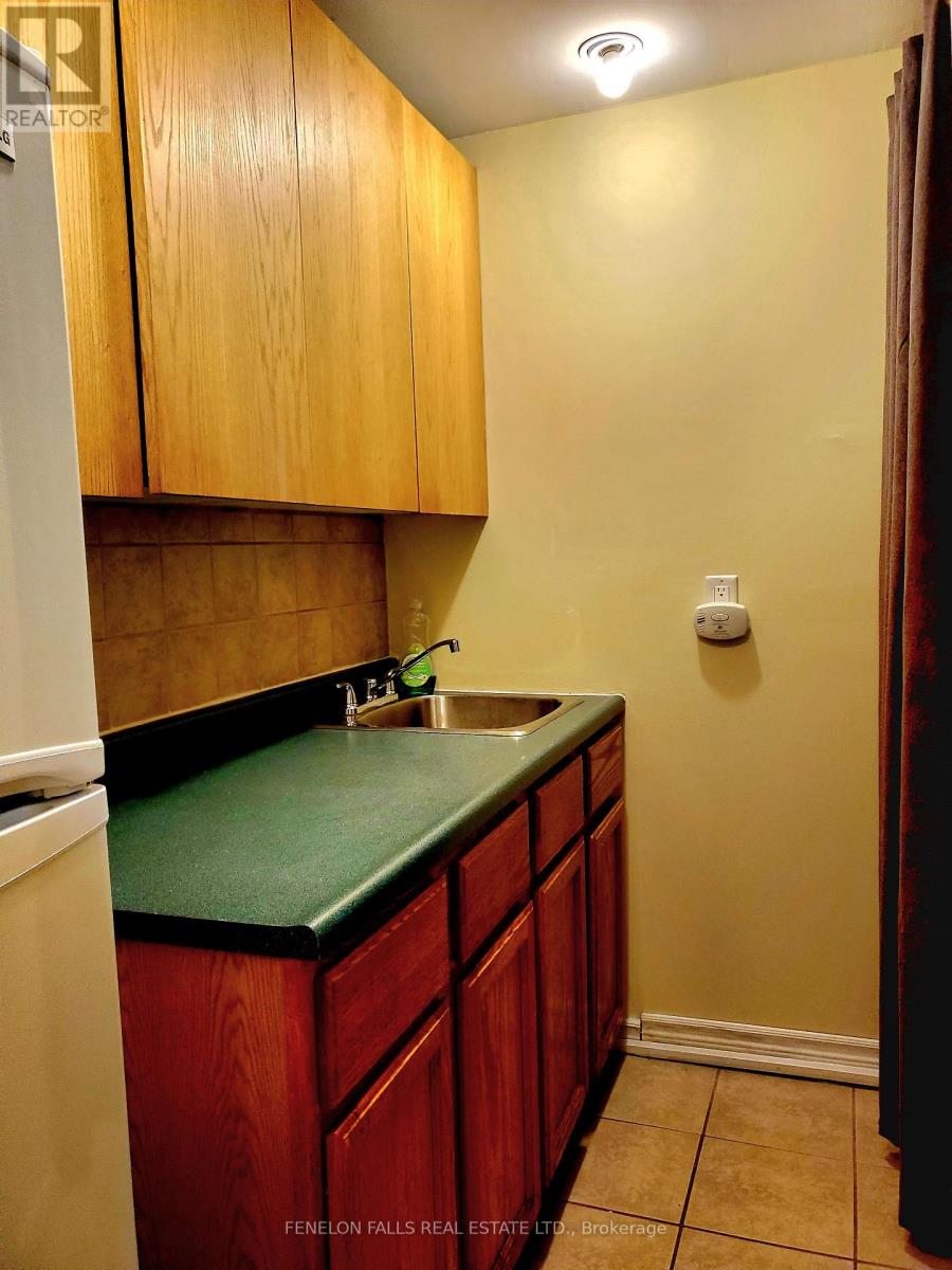 180 Orchard Park Road, Kawartha Lakes, Ontario  K9V 6A6 - Photo 11 - X12555572