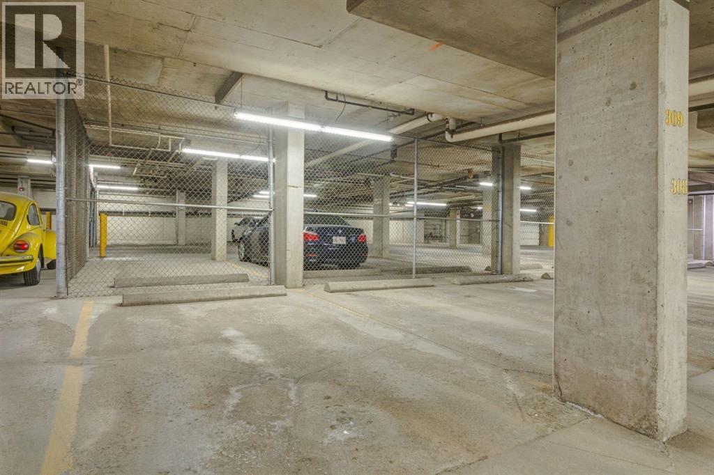 216, 2233 34 Avenue Sw, Calgary, Alberta  T2T 6N2 - Photo 37 - A2261449