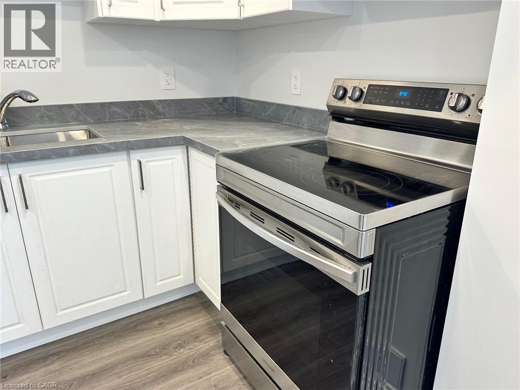 219 Ridge Road Unit# Basement, Cambridge, Ontario  N3E 0C2 - Photo 24 - 40795427