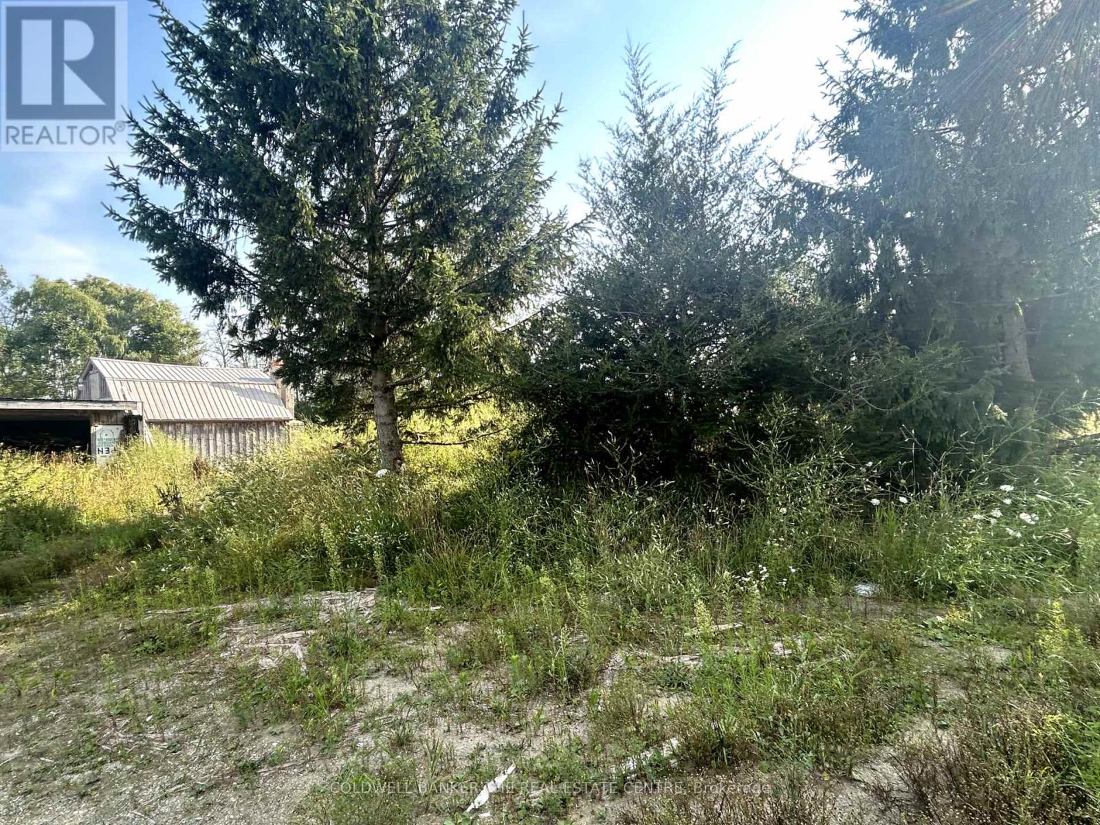 1137 6 Highway, South Bruce Peninsula, Ontario  N0H 2T0 - Photo 38 - X12254575