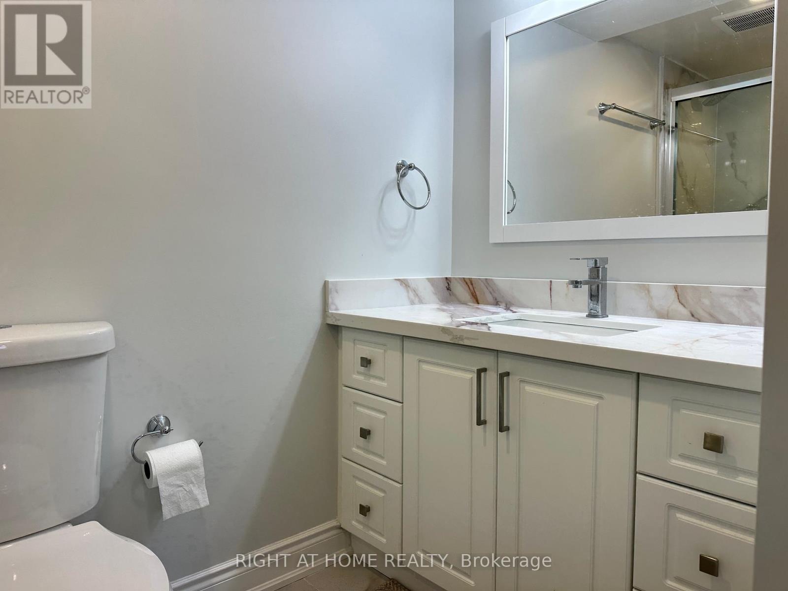 Basement - 219 Ridge Road, Cambridge, Ontario  N3E 1A1 - Photo 17 - X12659806