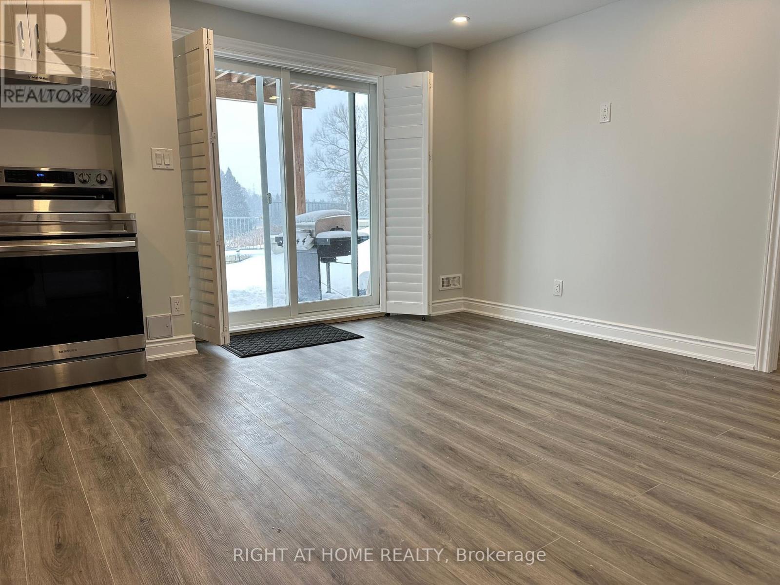 Basement - 219 Ridge Road, Cambridge, Ontario  N3E 1A1 - Photo 9 - X12659806