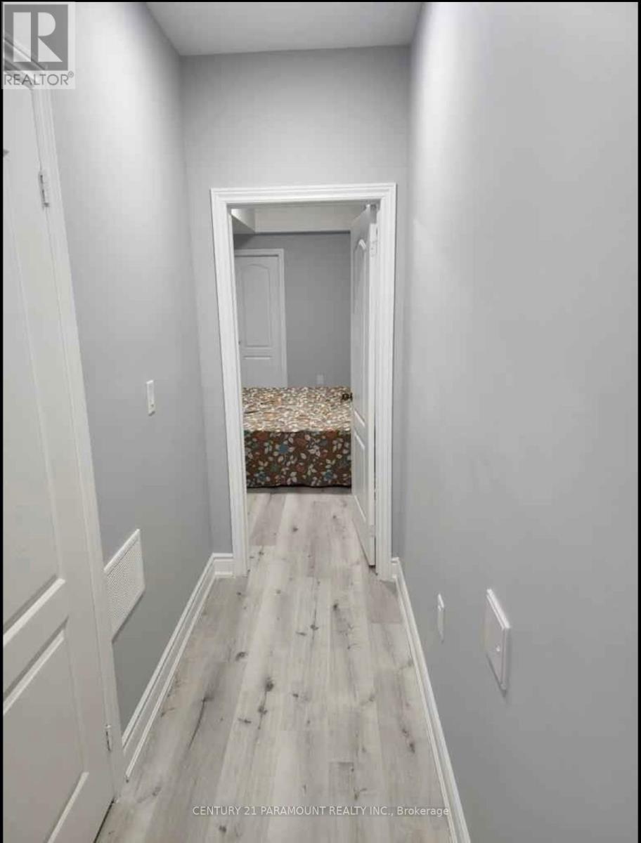 Bsmt - 14 Midmorning Road, Brampton, Ontario  L6X 5P7 - Photo 3 - W12659826