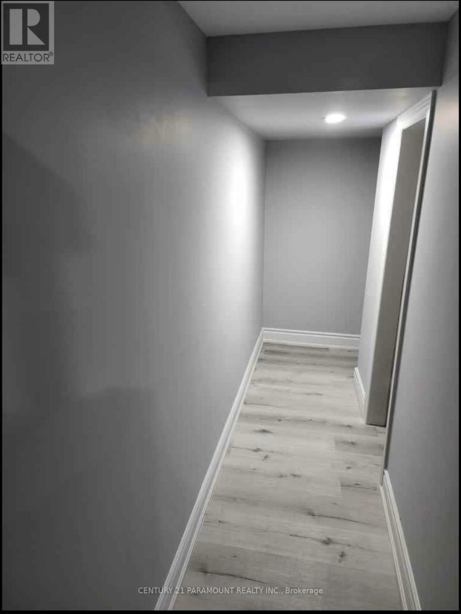 Bsmt - 14 Midmorning Road, Brampton, Ontario  L6X 5P7 - Photo 4 - W12659826