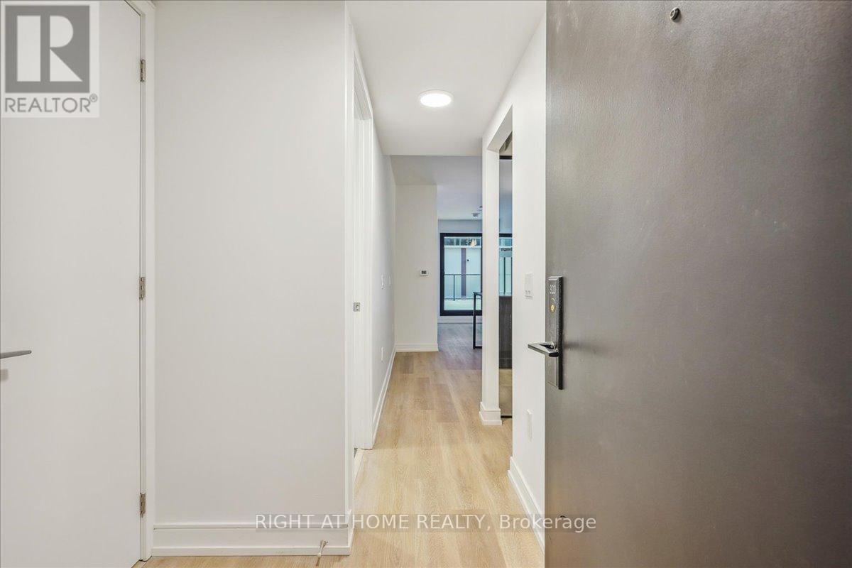 320 - 1 Jarvis Street, Hamilton, Ontario  L8R 3J2 - Photo 6 - X12659904