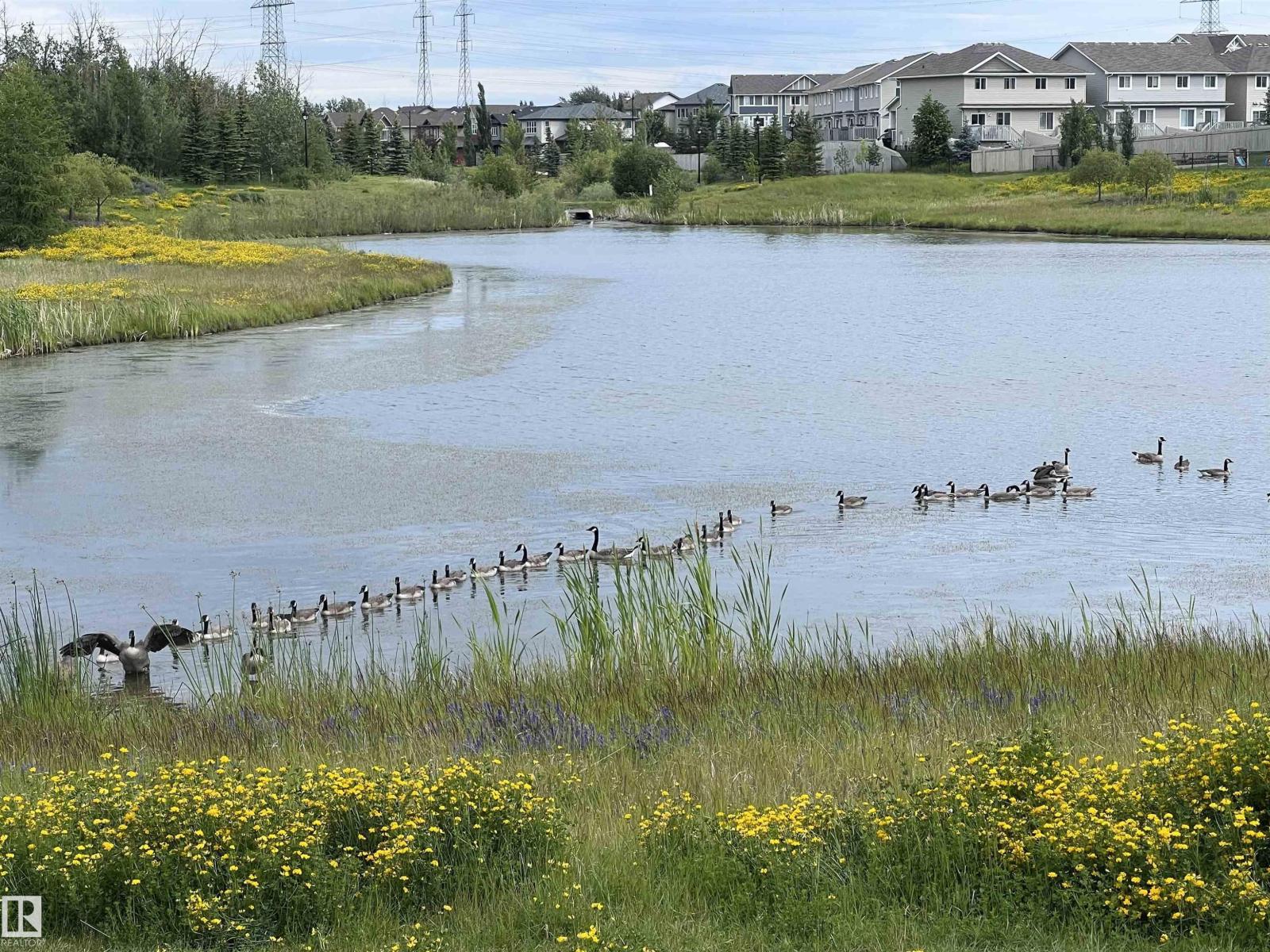 540 59 St Sw Sw, Edmonton, Alberta  T6X 0E9 - Photo 73 - E4468132