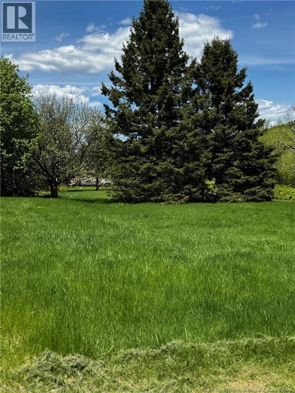 39 Thomas Street, Saint-Jacques, New Brunswick  E7B 1P9 - Photo 5 - NB131593