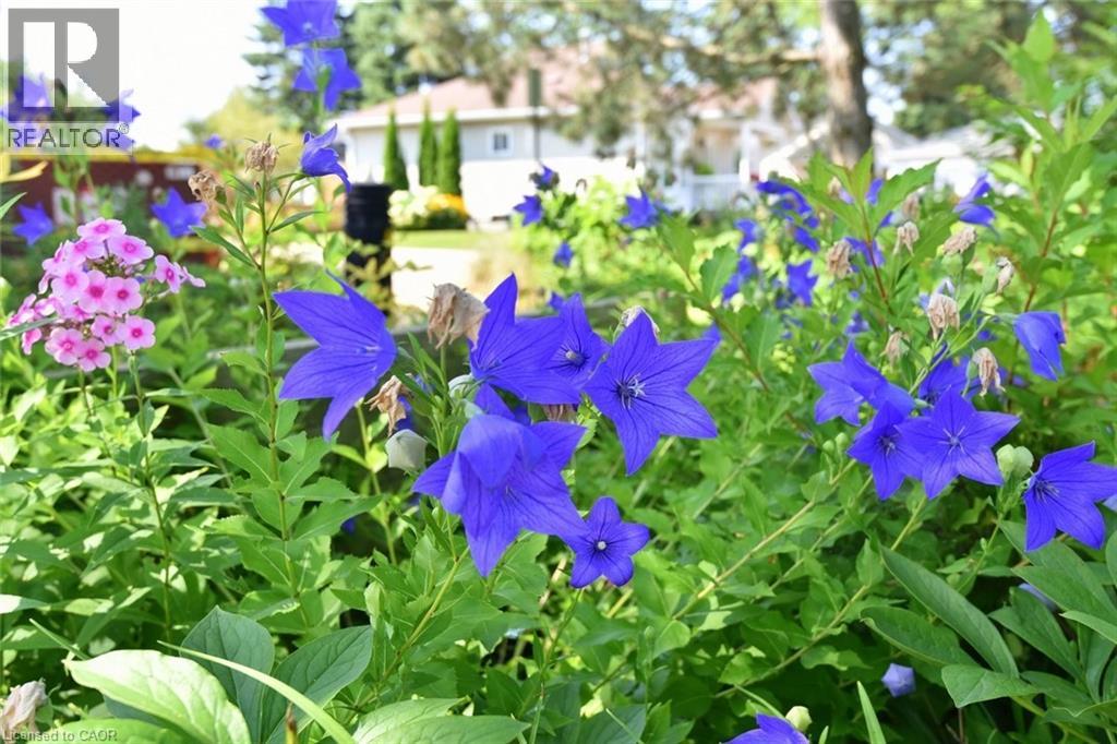 157 Silverbirch Boulevard, Hamilton, Ontario  L0R 1W0 - Photo 33 - 40795776