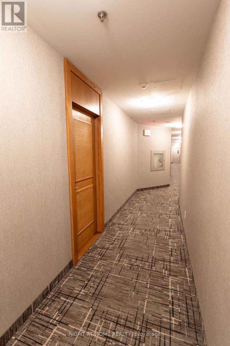 102 - 219 Fort York Boulevard, Toronto, Ontario  M5V 1B1 - Photo 19 - C12660370