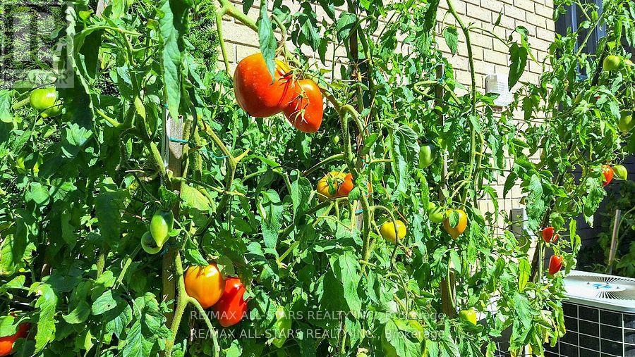 5 - 5 Beswick Lane, Uxbridge, Ontario L9P 1G4 - Photo 35 - N12660444