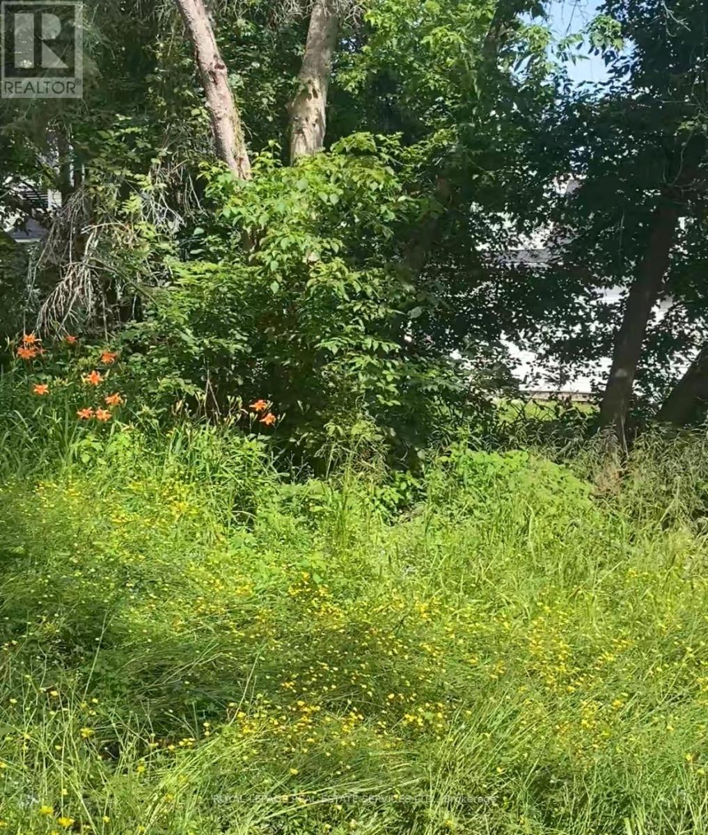 16 Cora Street E, Huntsville, Ontario  P1H 1P6 - Photo 16 - X12660394