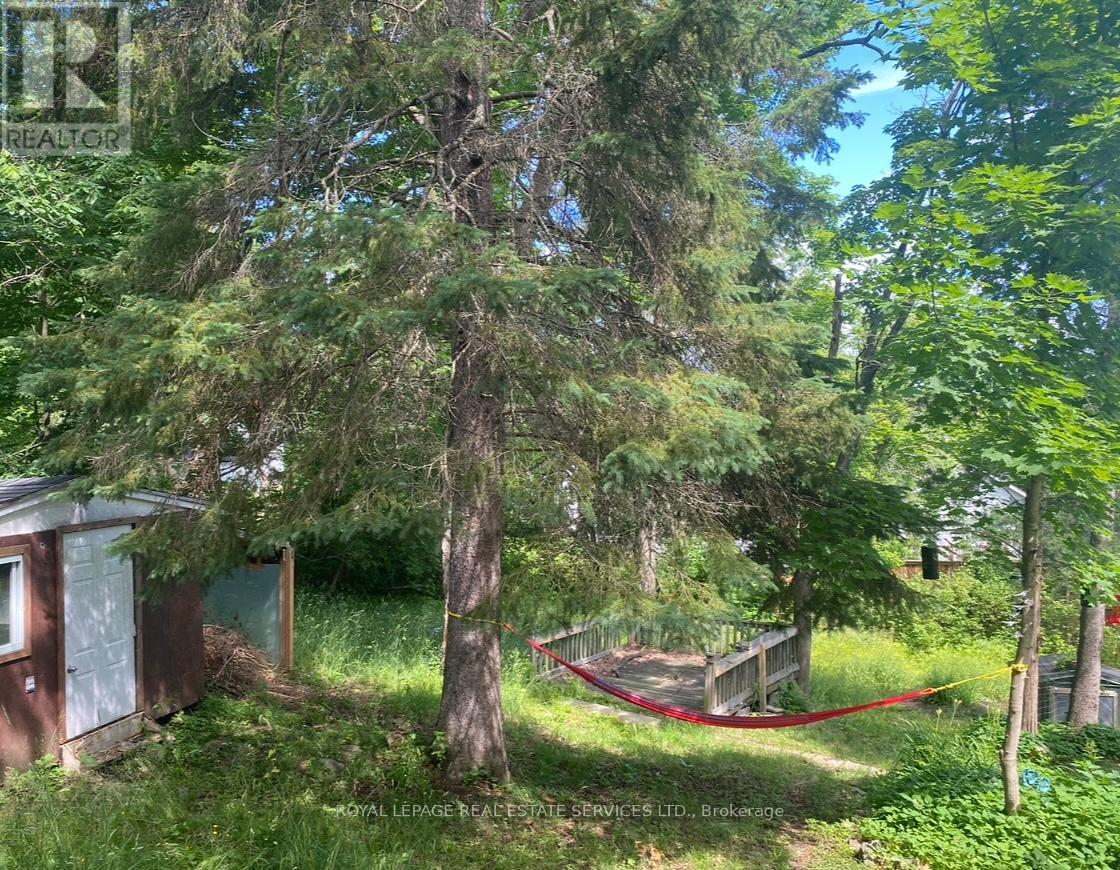 16 Cora Street E, Huntsville, Ontario  P1H 1P6 - Photo 19 - X12660394