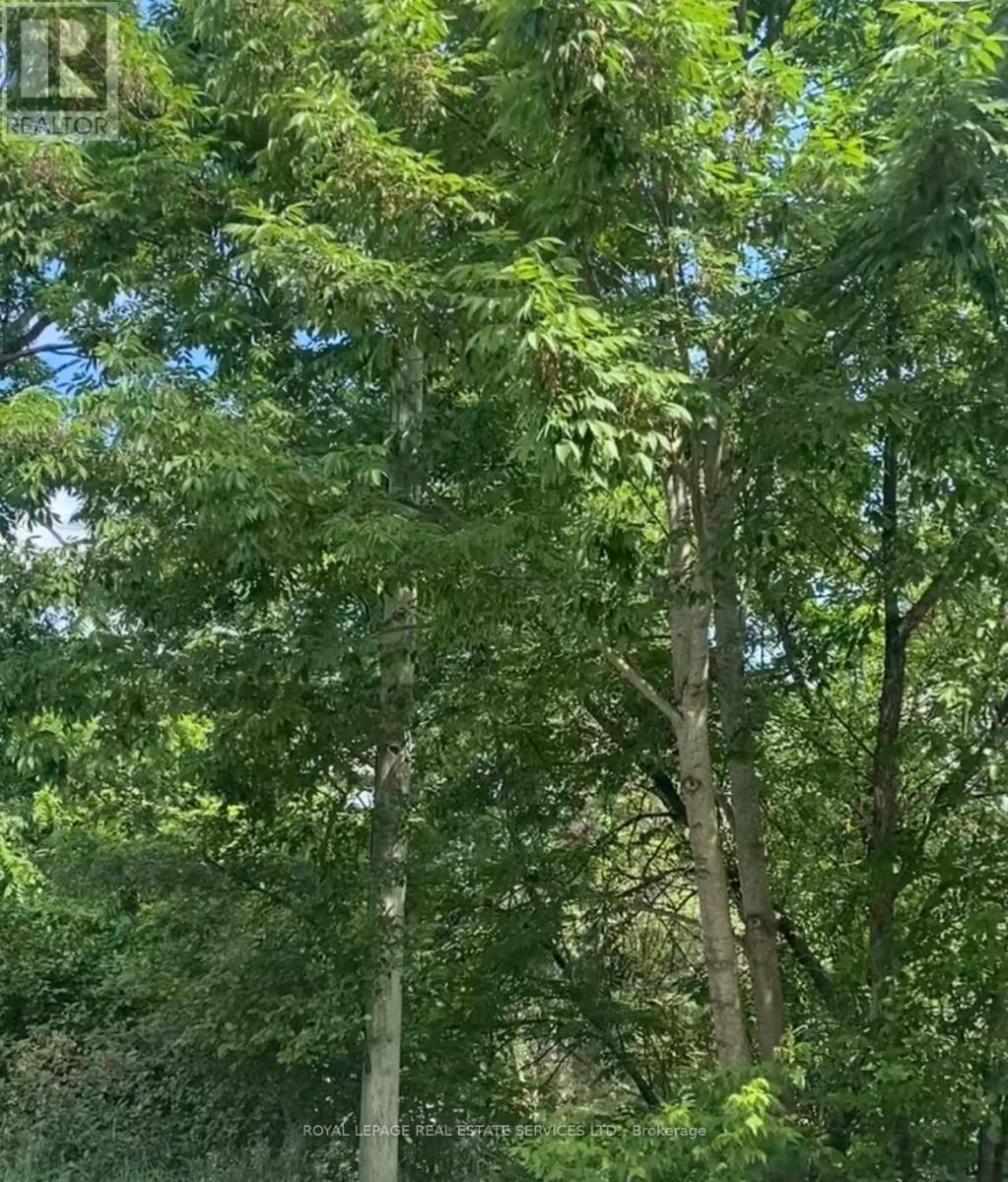 16 Cora Street E, Huntsville, Ontario  P1H 1P6 - Photo 21 - X12660394