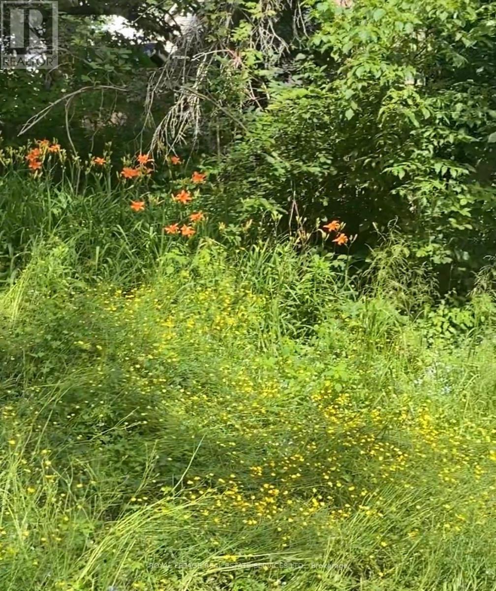 16 Cora Street E, Huntsville, Ontario  P1H 1P6 - Photo 22 - X12660394