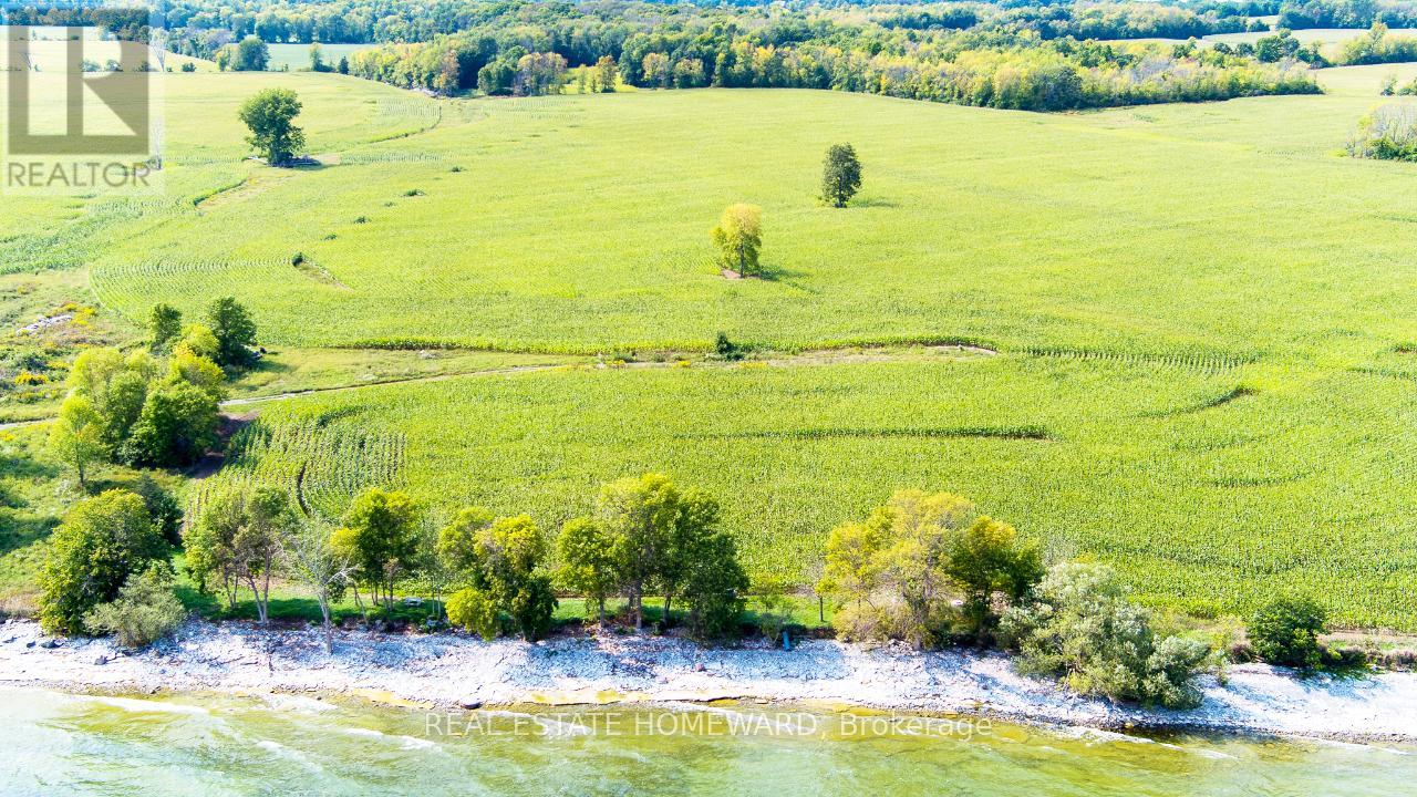 138 Jarvis Lane, Prince Edward County (North Marysburg Ward), Ontario  K0K 2T0 - Photo 11 - X12660430