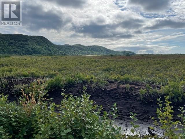 460 Route - White's Road, Gull Pond, Newfoundland & Labrador  A2N 2Y4 - Photo 11 - 1277727