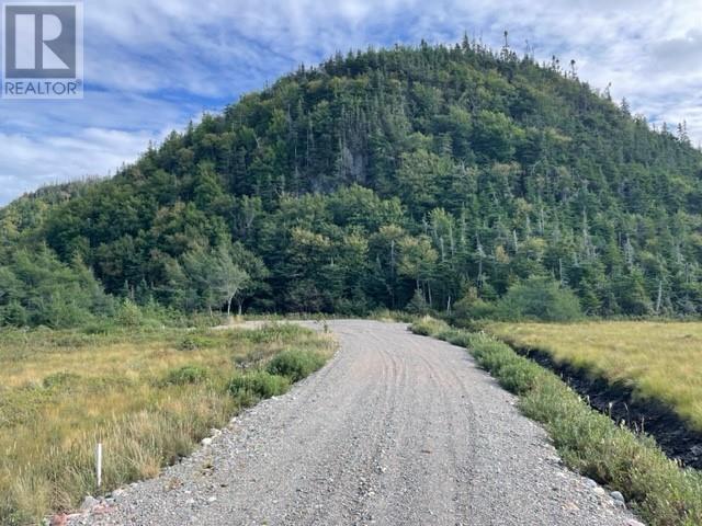 460 Route - White's Road, Gull Pond, Newfoundland & Labrador  A2N 2Y4 - Photo 12 - 1277727