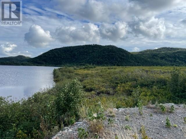 460 Route - White's Road, Gull Pond, Newfoundland & Labrador  A2N 2Y4 - Photo 17 - 1277727