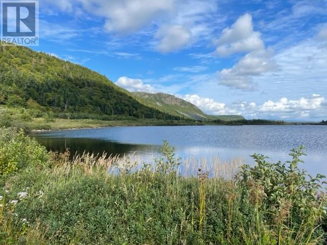 460 Route - White's Road, Gull Pond, Newfoundland & Labrador  A2N 2Y4 - Photo 18 - 1277727