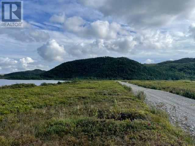 460 Route - White's Road, Gull Pond, Newfoundland & Labrador  A2N 2Y4 - Photo 19 - 1277727