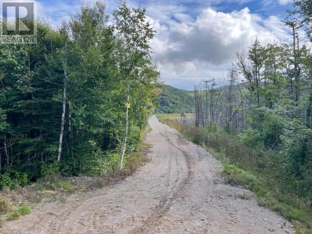 460 Route - White's Road, Gull Pond, Newfoundland & Labrador  A2N 2Y4 - Photo 2 - 1277727