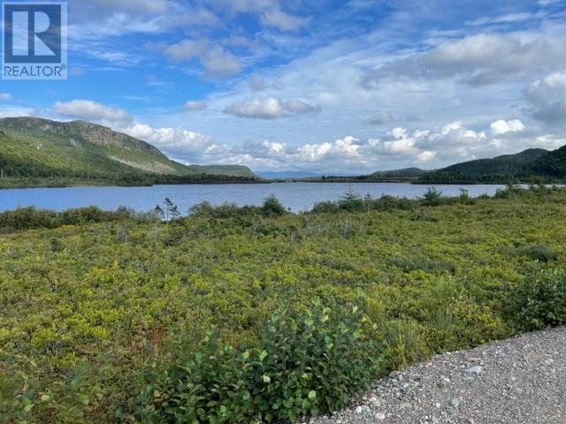 460 Route - White's Road, Gull Pond, Newfoundland & Labrador  A2N 2Y4 - Photo 20 - 1277727