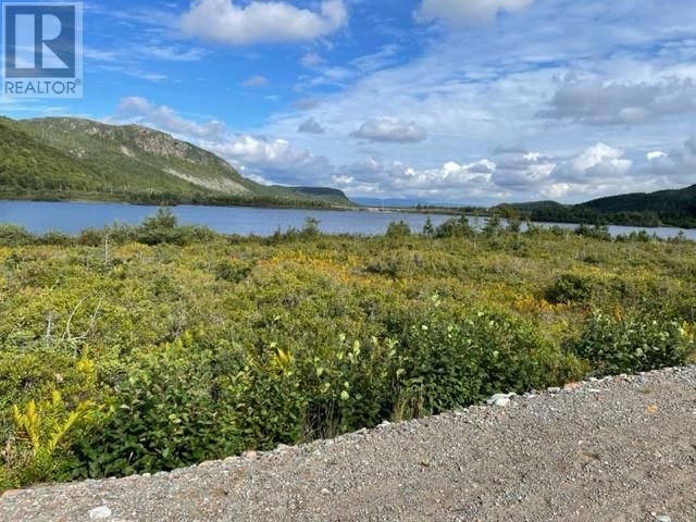 460 Route - White's Road, Gull Pond, Newfoundland & Labrador  A2N 2Y4 - Photo 21 - 1277727