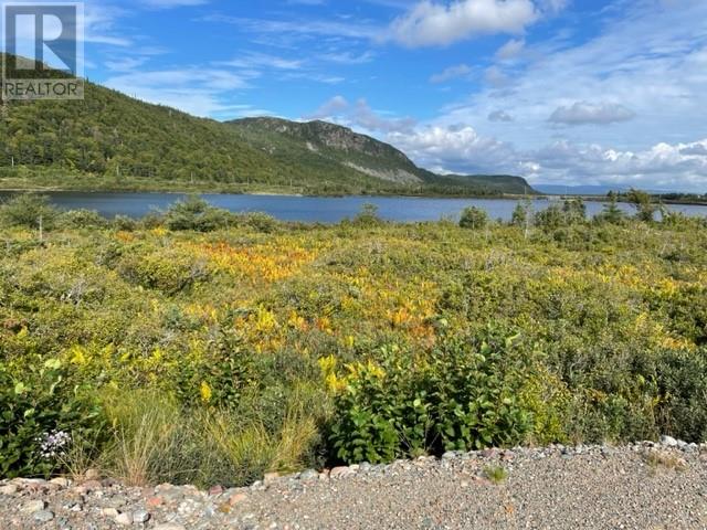 460 Route - White's Road, Gull Pond, Newfoundland & Labrador  A2N 2Y4 - Photo 22 - 1277727