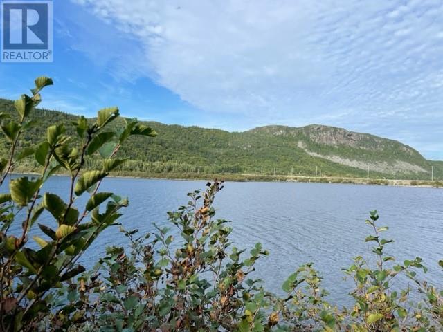 460 Route - White's Road, Gull Pond, Newfoundland & Labrador  A2N 2Y4 - Photo 25 - 1277727
