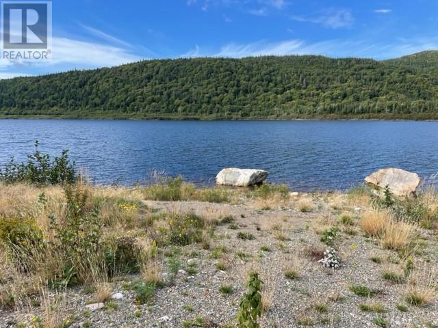 460 Route - White's Road, Gull Pond, Newfoundland & Labrador  A2N 2Y4 - Photo 26 - 1277727