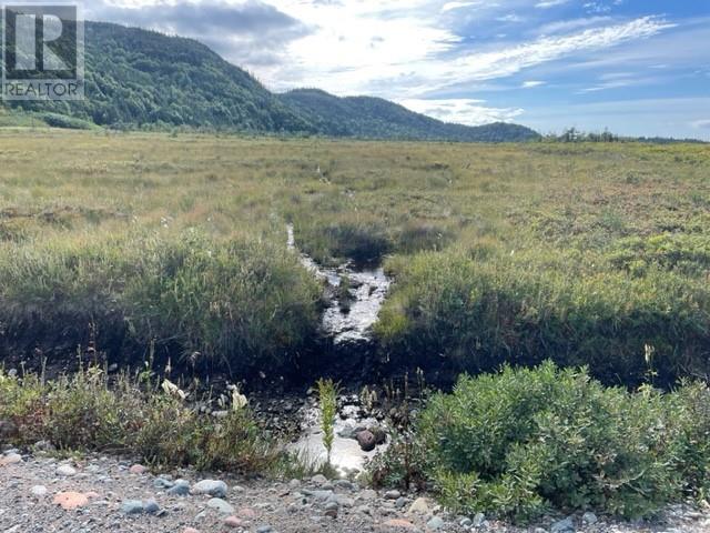 460 Route - White's Road, Gull Pond, Newfoundland & Labrador  A2N 2Y4 - Photo 27 - 1277727
