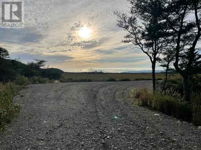 460 Route - White's Road, Gull Pond, Newfoundland & Labrador  A2N 2Y4 - Photo 28 - 1277727