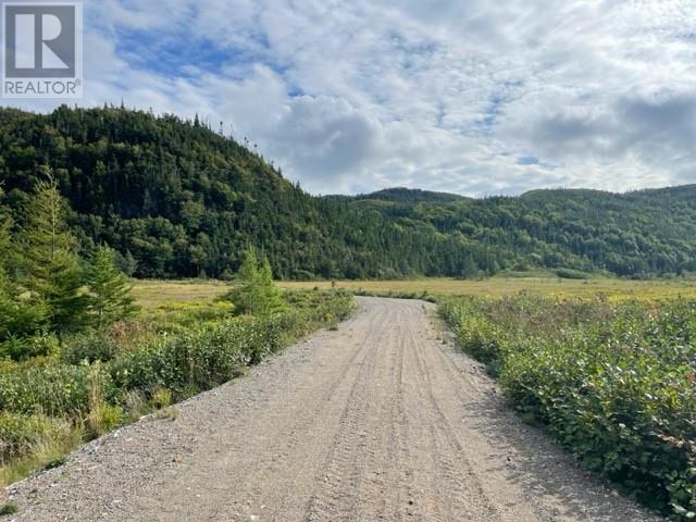 460 Route - White's Road, Gull Pond, Newfoundland & Labrador  A2N 2Y4 - Photo 3 - 1277727