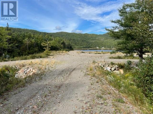 460 Route - White's Road, Gull Pond, Newfoundland & Labrador  A2N 2Y4 - Photo 30 - 1277727