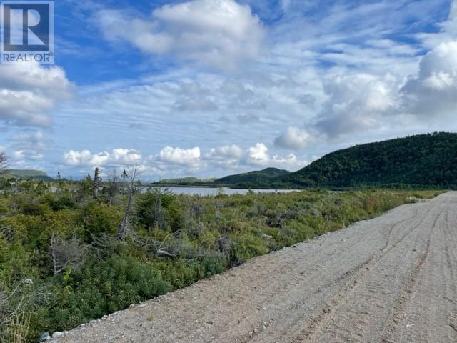 460 Route - White's Road, Gull Pond, Newfoundland & Labrador  A2N 2Y4 - Photo 31 - 1277727
