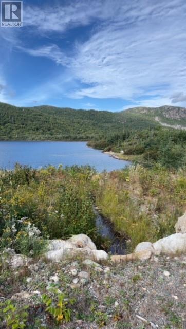 460 Route - White's Road, Gull Pond, Newfoundland & Labrador  A2N 2Y4 - Photo 32 - 1277727