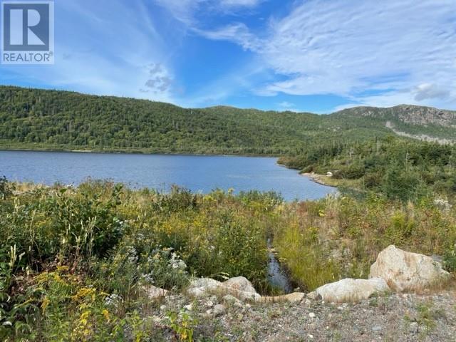 460 Route - White's Road, Gull Pond, Newfoundland & Labrador  A2N 2Y4 - Photo 33 - 1277727